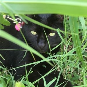 Thanks for your support! Happy Poshing!